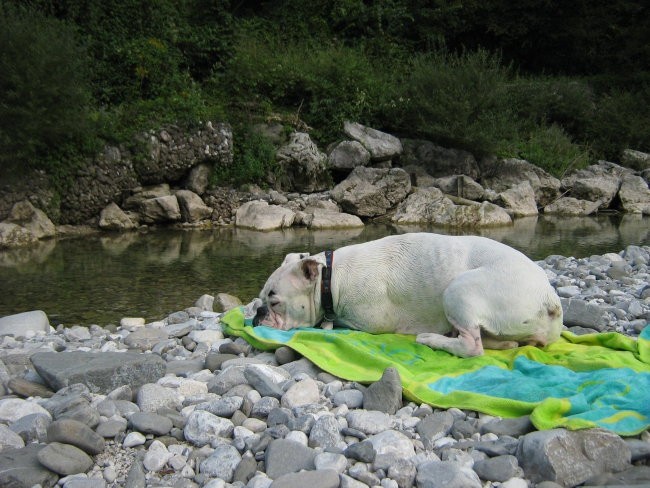 Soča in nadiža - foto povečava