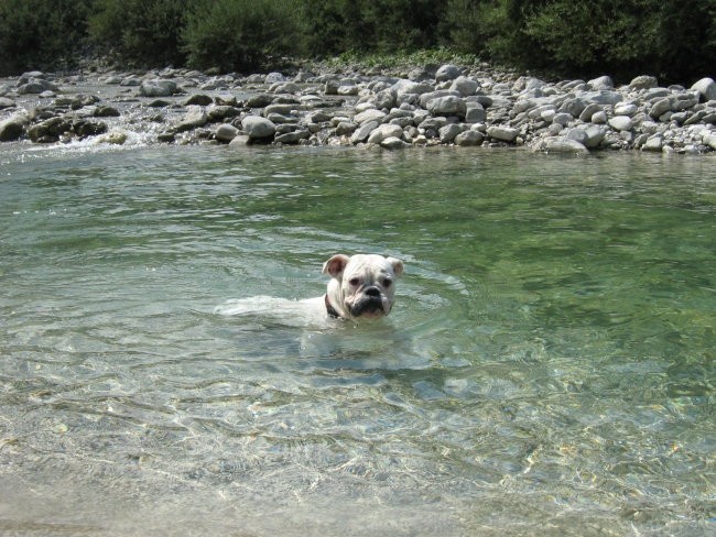 Soča in nadiža - foto povečava