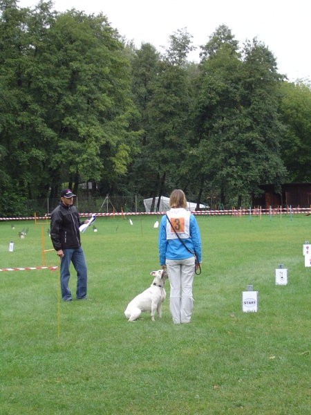 RO-Maribor,14.9.2008 - foto