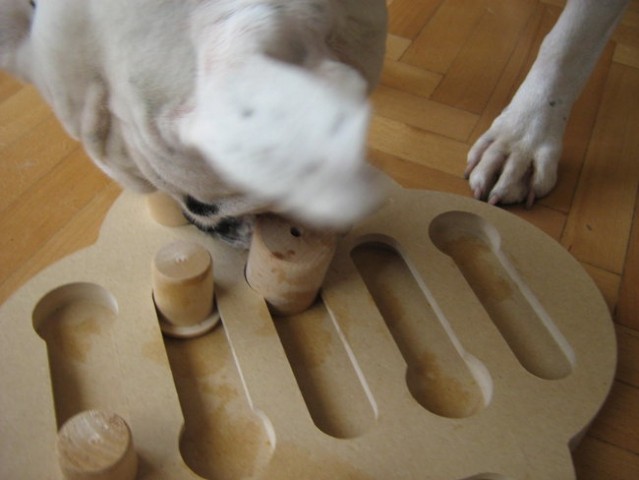 Dog puzzle - foto