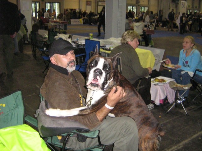 European Dog Show,Budapest,4.10.2008 - foto povečava