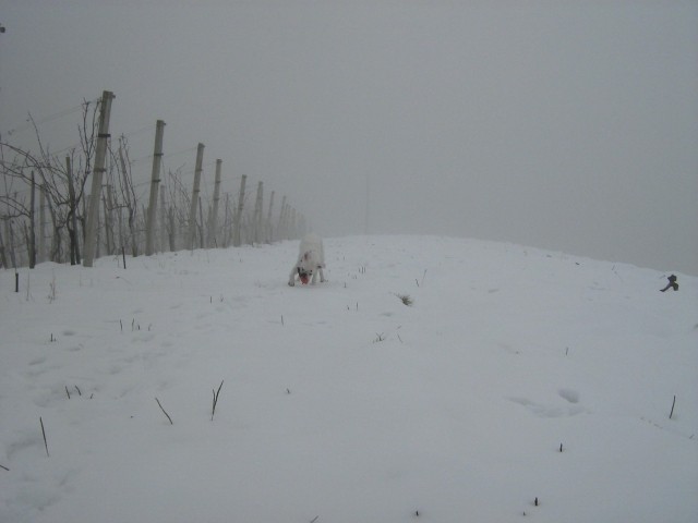 Zima 2009 - foto