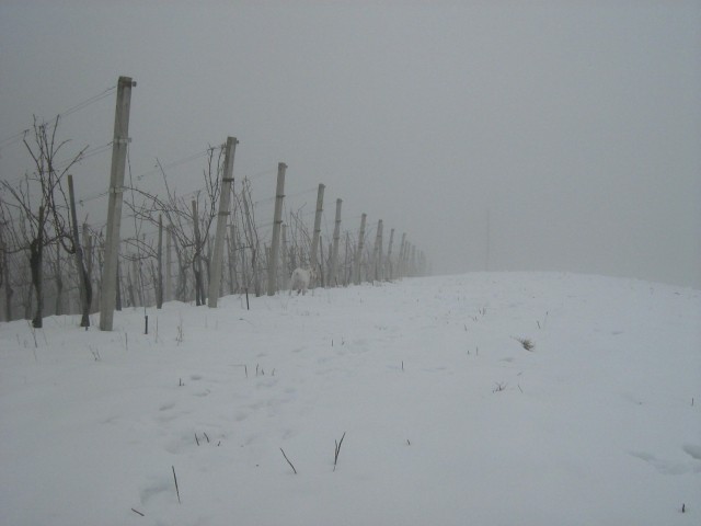 Zima 2009 - foto