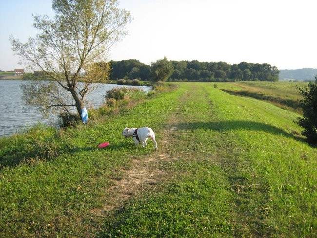 Lonika - foto povečava