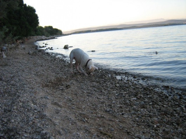Morje - foto