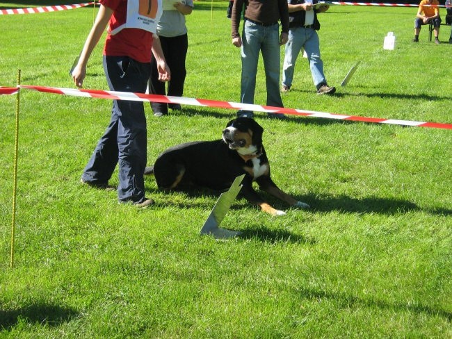 Tekma RO v Mariboru - foto povečava