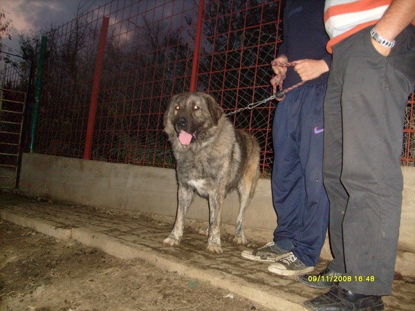 Kosovo 11/08 - foto
