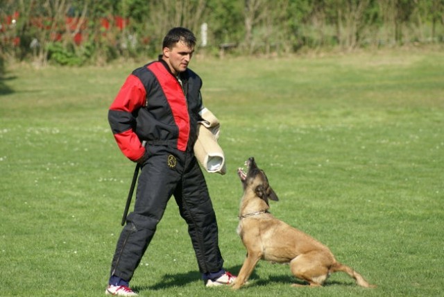 Marcel in Donna - foto