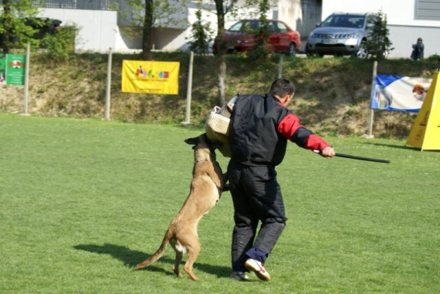 Marcel in Donna - foto