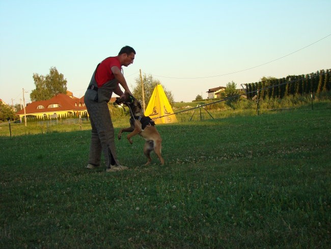 Bojan - foto povečava