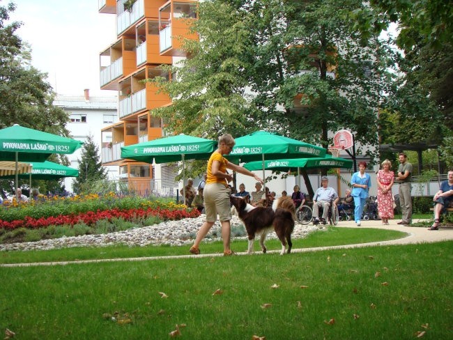 PSI TERAPEVTI - foto povečava