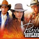 Los gavilanes: Franco, Juan, Oscar