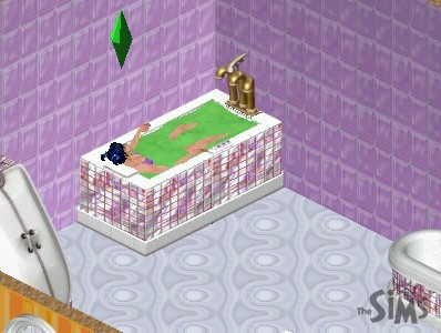 Sims - foto povečava