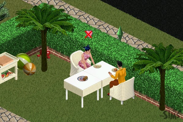 Sims - foto povečava