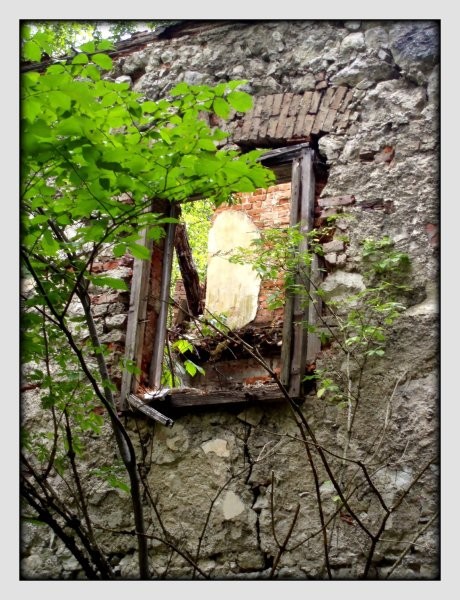 ..windows.. - foto