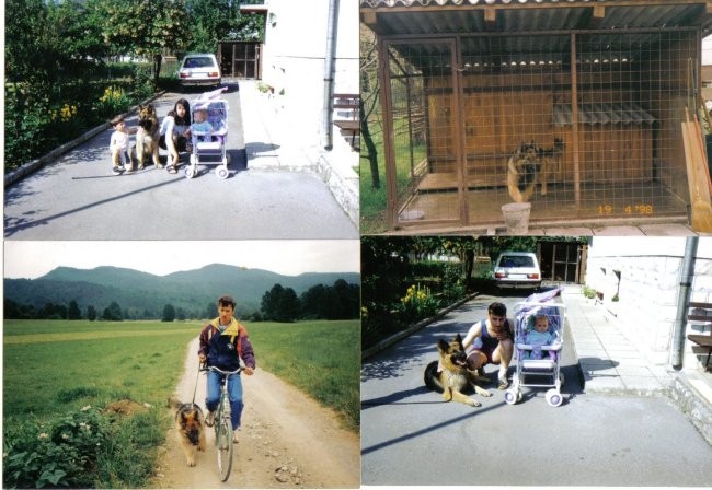 Naš Pes OKI - foto povečava