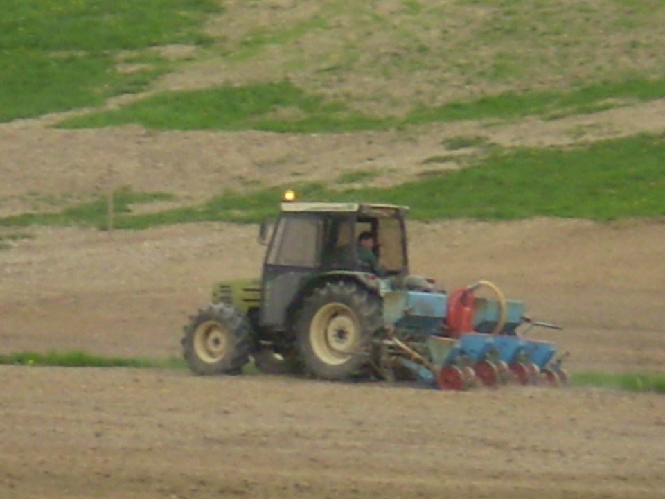 Setev koruze 2009 - foto povečava