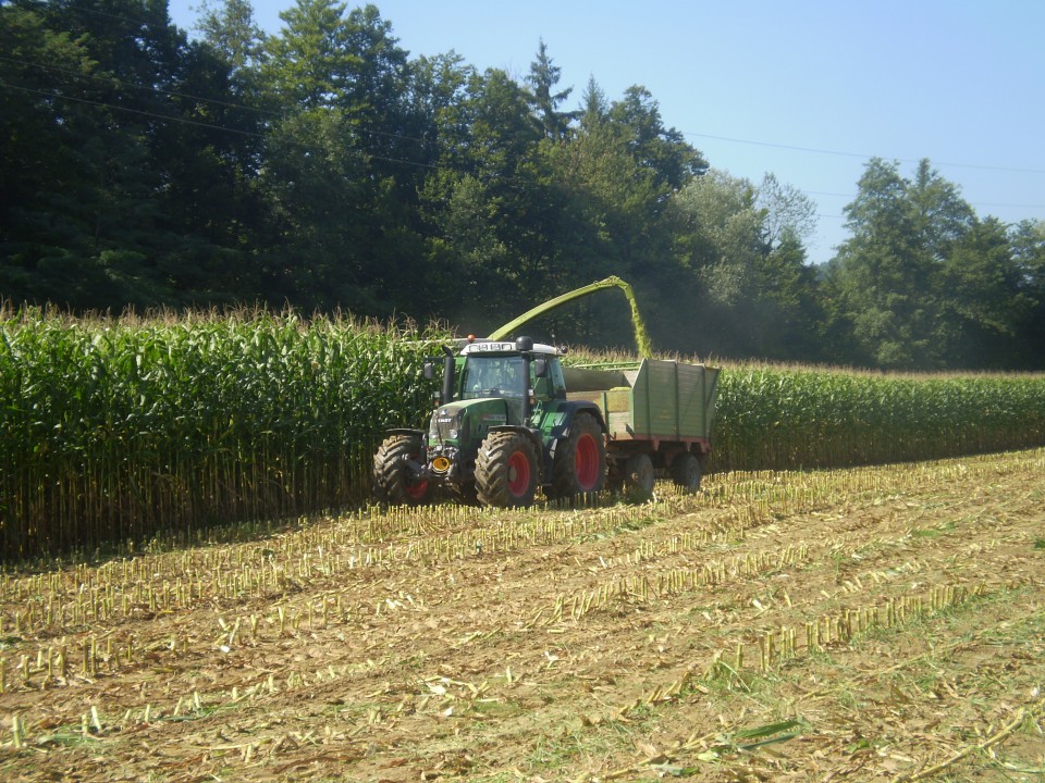 Siliranje 2009 - foto povečava