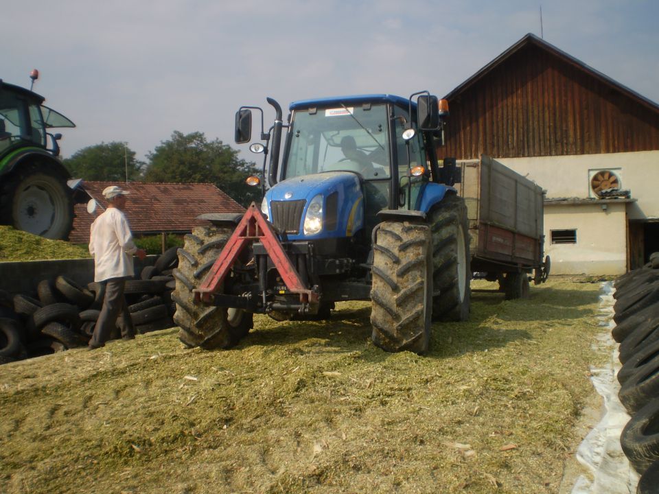 Siliranje 2010 - foto povečava