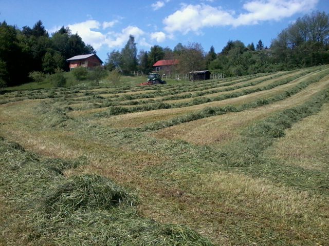 1.košnja 2012 - foto