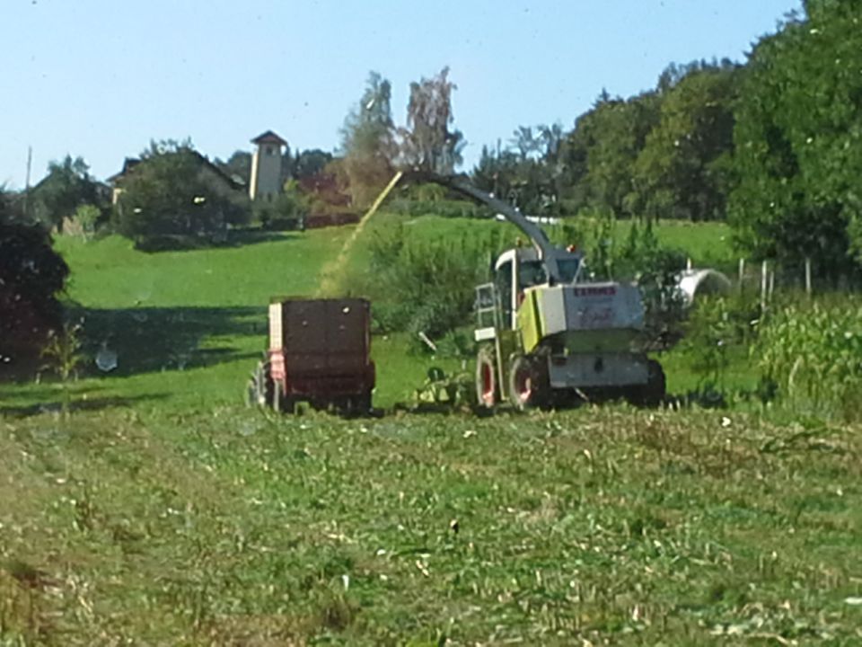 Siliranje 2013 - foto povečava