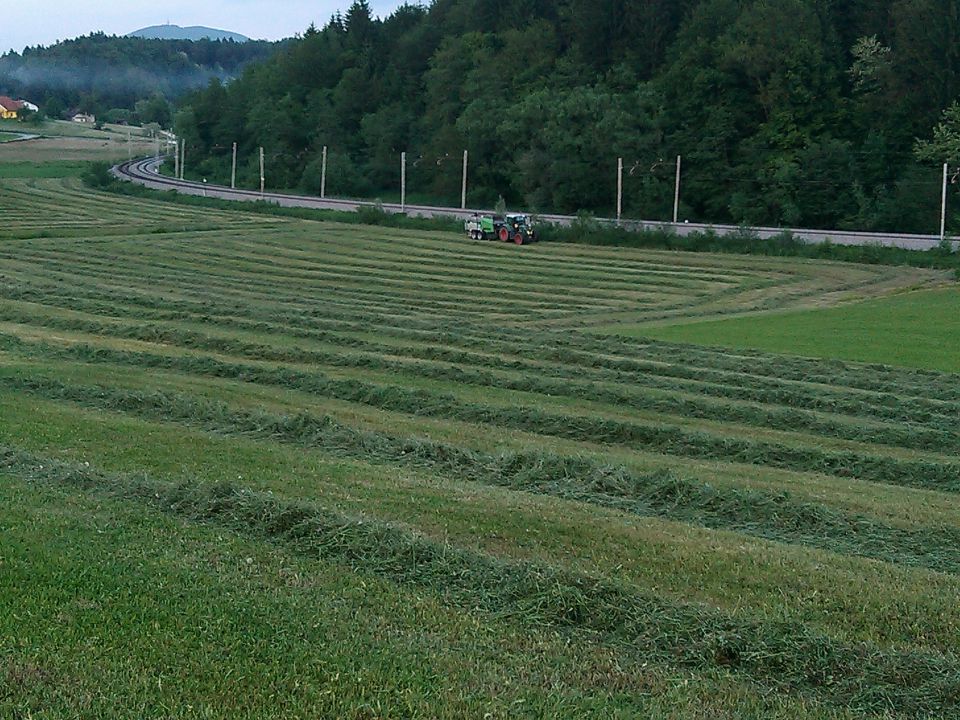 1. košnja 2014 - foto povečava