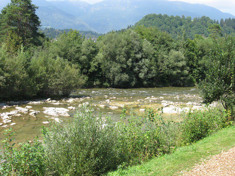 Izlet z nagibalnikom, 21.8.2011 - foto povečava