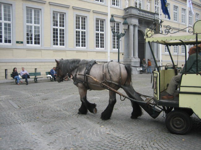 Matej - foto povečava