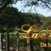 La Trepadora