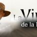 La Viuda de la Mafia