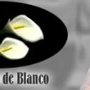 La Viuda de Blanco (1996)