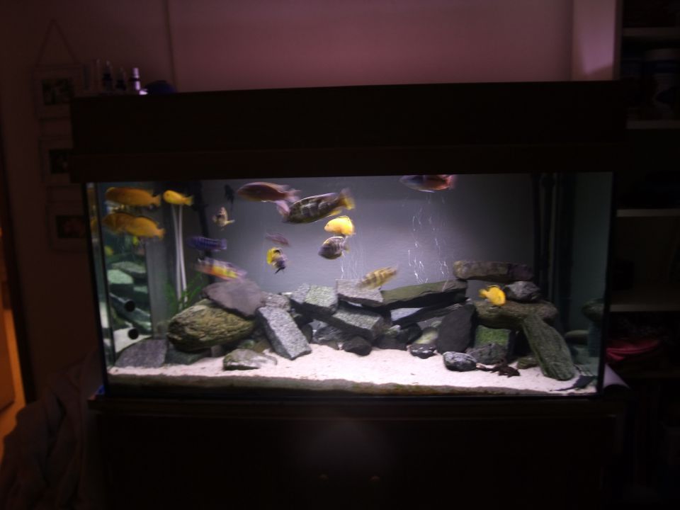 Akvarij 360l - foto povečava