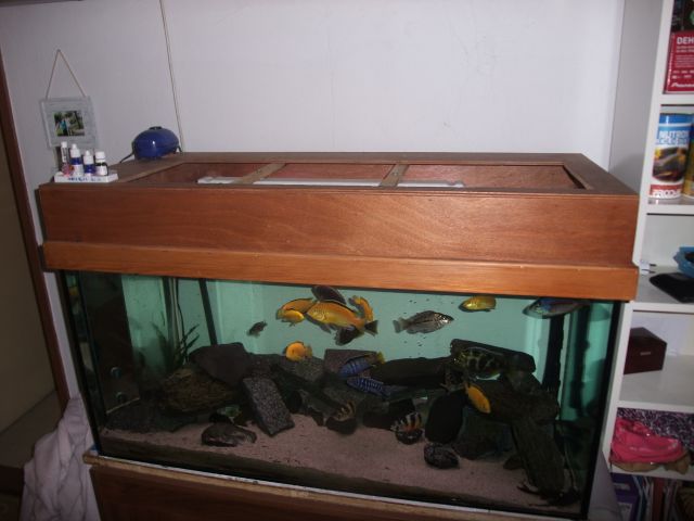 Akvarij 360l - foto