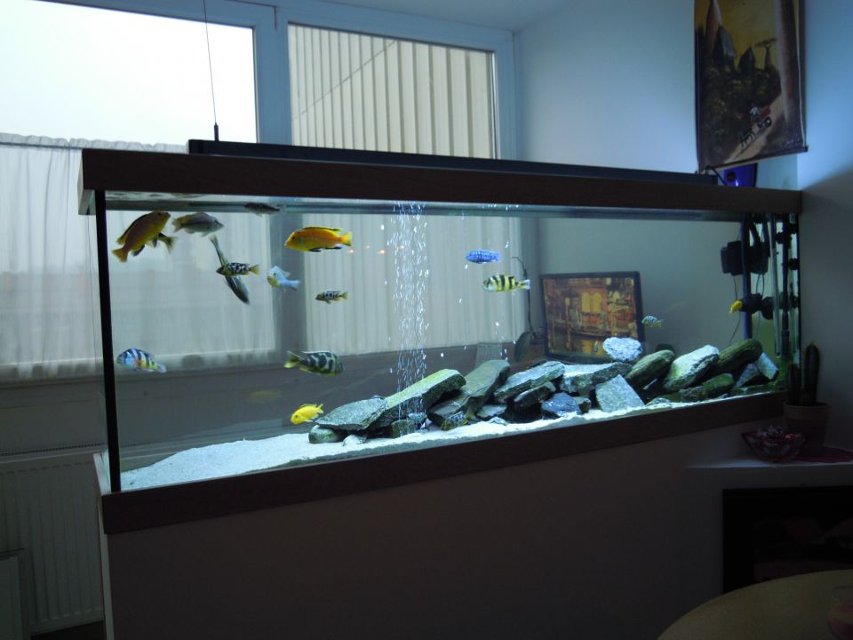 Akvarij 390l - foto povečava
