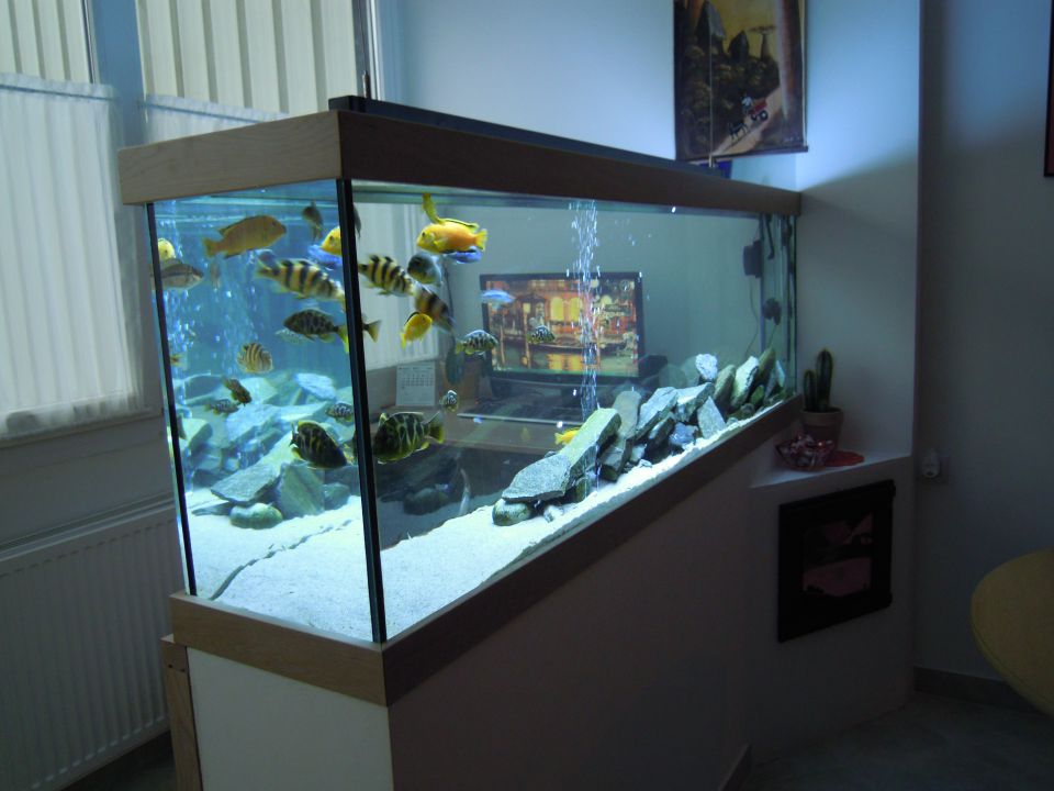 Akvarij 390l - foto povečava
