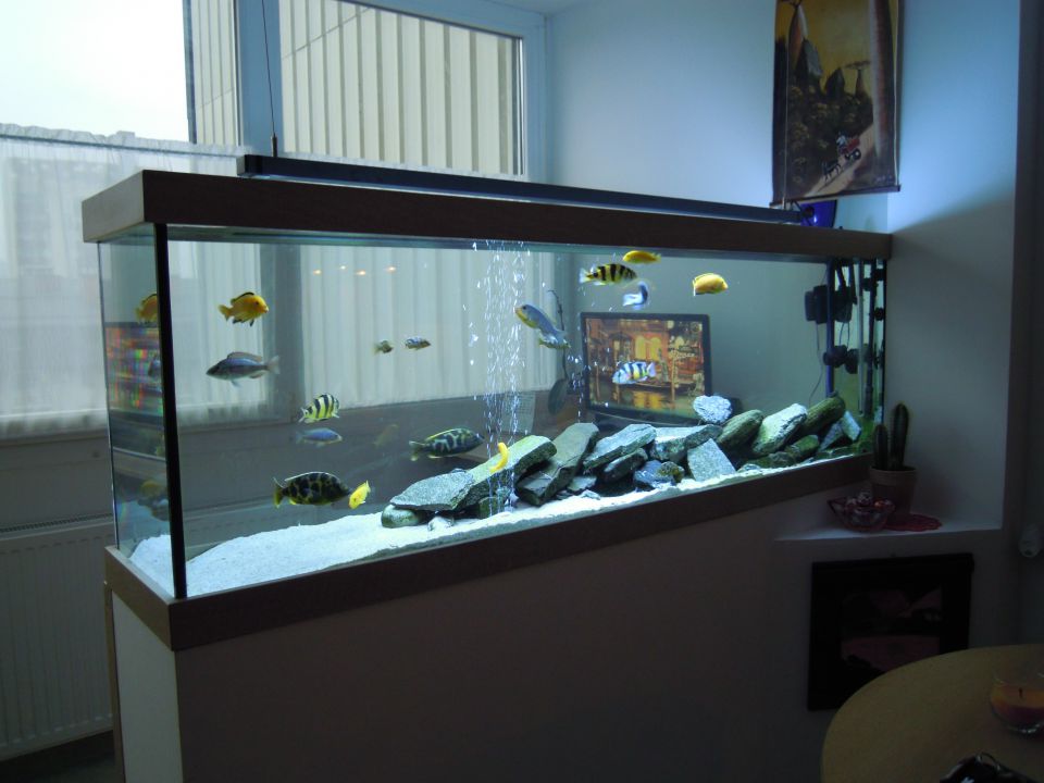 Akvarij 390l - foto povečava