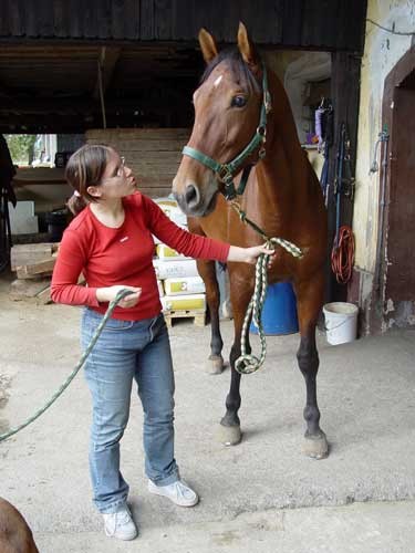 Srecanje s konjem Kingstonom - 30.09.2005 - foto povečava
