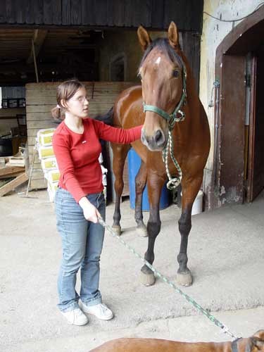 Srecanje s konjem Kingstonom - 30.09.2005 - foto