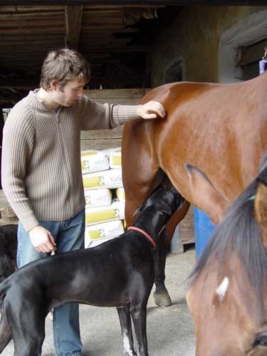 Srecanje s konjem Kingstonom - 30.09.2005 - foto