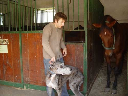 Srecanje s konjem Kingstonom - 30.09.2005 - foto povečava