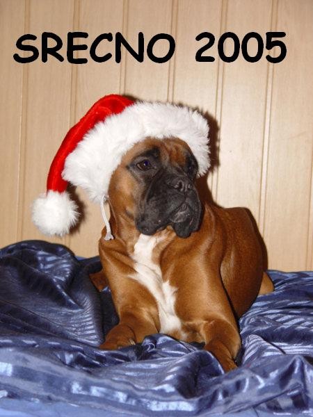 SRECNO 2005 - foto povečava