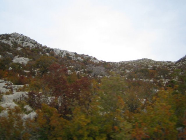 Velebit - foto