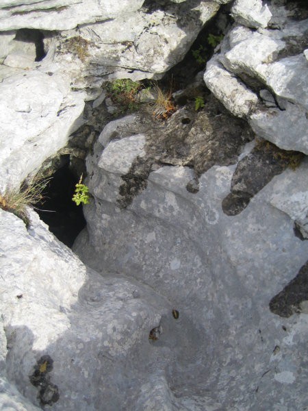 Velebit - foto