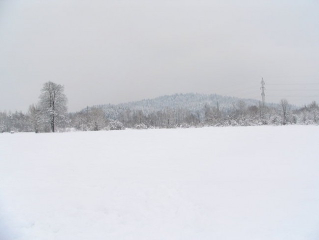 Na snegu z Rino - foto