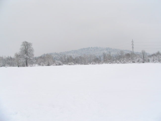 Na snegu z Rino - foto povečava
