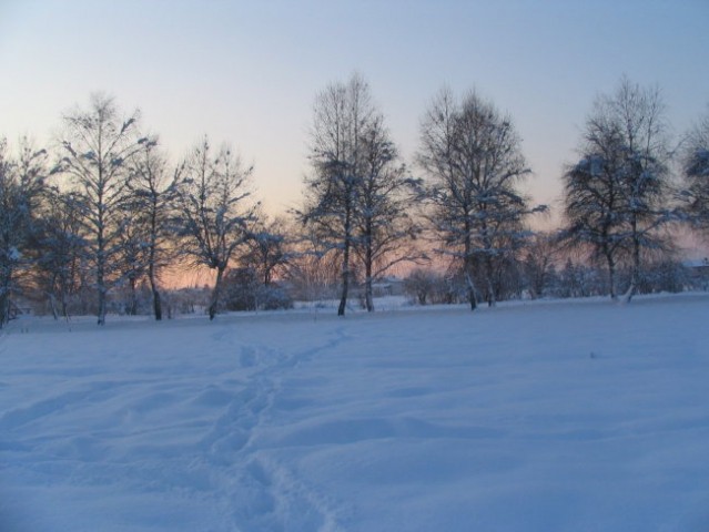 Jutranji sprehod, 30.12.2005 - foto