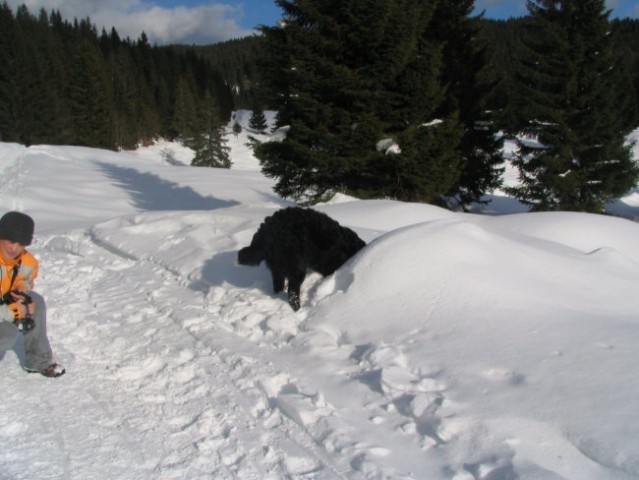 Pokljuka, 22.1.2006 - foto