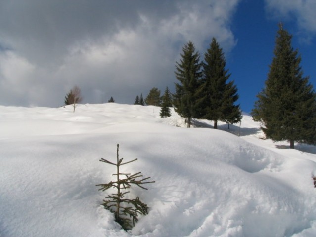 Pokljuka, 22.1.2006 - foto