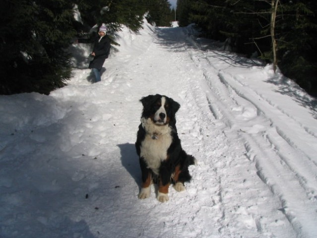 Pokljuka, 22.1.2006 - foto