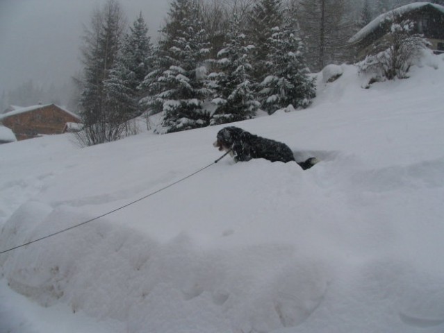 Smučanje v Franciji, 4. - 11.3. 2006 - foto
